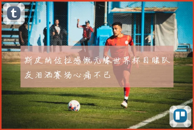 斯皮纳佐拉感慨无缘世界杯目睹队友泪洒赛场心痛不已
