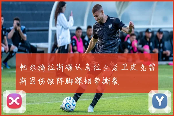 帕尔梅拉斯确认乌拉圭后卫皮克雷斯因伤缺阵脚踝韧带撕裂